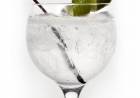 POR QUÉ TOMAR GIN TONIC