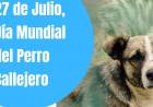 Día del Perro Callejero: ¿Por qué se celebra el 27 de julio en todo el mundo?