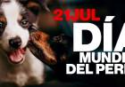Día mundial del perro