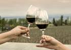 Día del vino Argentino.