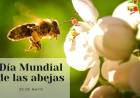 Día Mundial de las Abejas