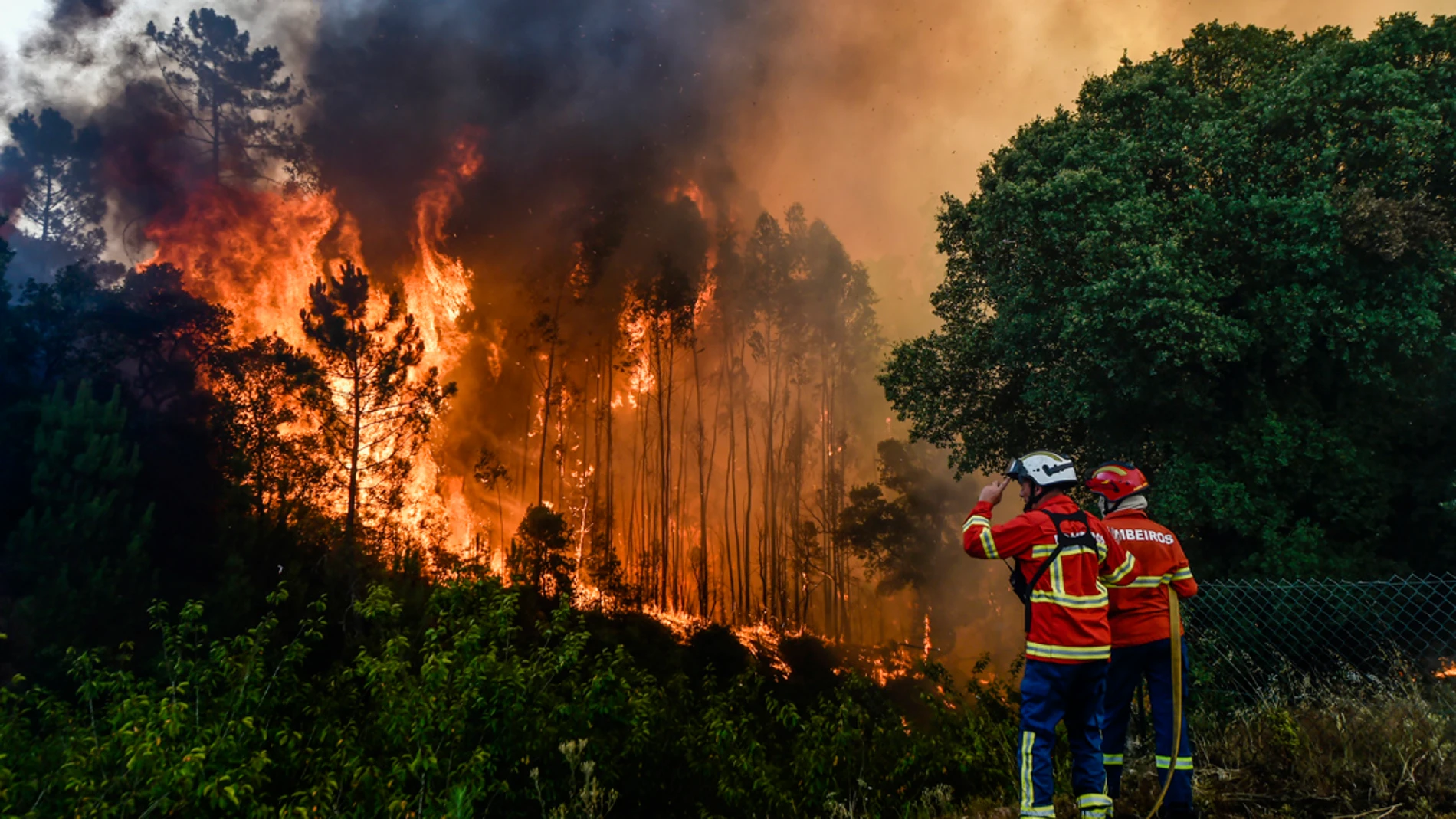 Día Mundial de la Prevención de Incendios Forestales