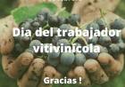 DÍA DEL TRABAJADOR VITIVINÍCOLA