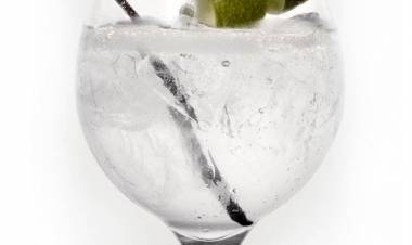 POR QUÉ TOMAR GIN TONIC
