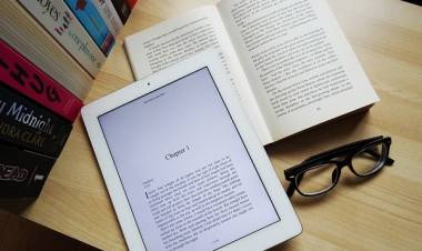 LOS DOCENTES NO LEEN