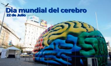 El 22 de julio se celebra el Día Mundial del Cerebro