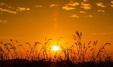 TRANSFUSIÓN QUE SALVARÁ VIDAS