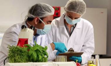 Día del Bromatólogo