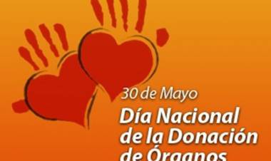 Día Nacional de la Donación de Órganos