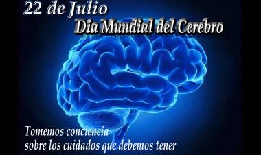 Día Mundial del Cerebro