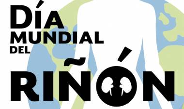 Día Mundial del Riñón