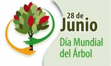 Día Mundial del Árbol