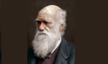El Día de Darwin