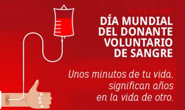 El Día Mundial del Donante de Sangre