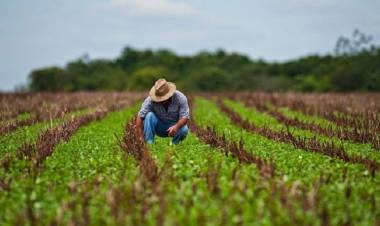 Agricultura