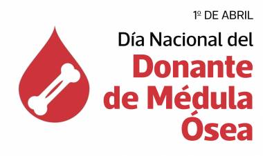 Día Nacional de la Donación de Médula Ósea
