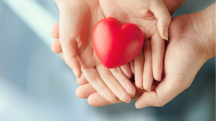 DÍA INTERNACIONAL DE LA AMISTAD.