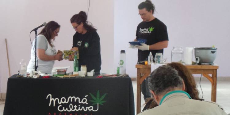  Se comenzó el debate por el cannabis medicinal en la Ciudad de Buenos Aires