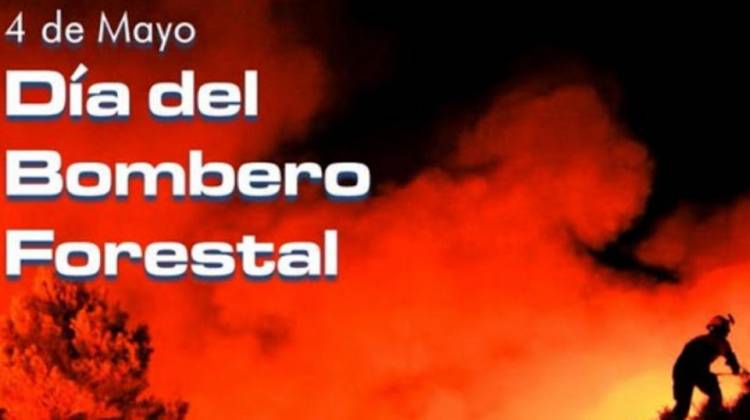 Día Internacional del Bombero Forestal