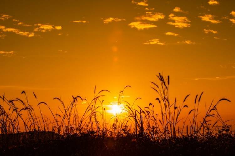 TRANSFUSIÓN QUE SALVARÁ VIDAS