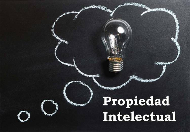 Propiedad Intelectual