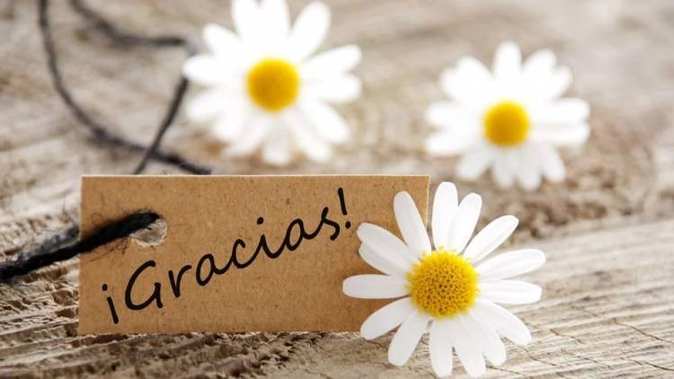 Día Internacional del Agradecimiento