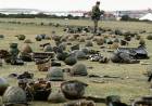 Día del Veterano y de los caídos en la guerra de Malvinas
