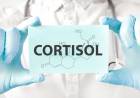 Tu Dieta contra el Estrés: 7 Alimentos que Reducen los Niveles de Cortisol