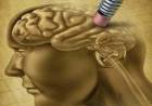 No más pérdida de memoria: los 5 hábitos que previenen el deterioro cognitivo, según neurólogos