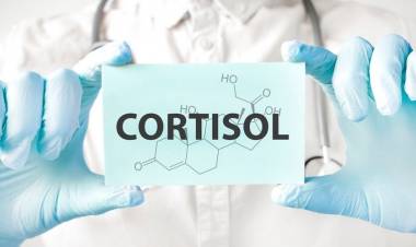 Tu Dieta contra el Estrés: 7 Alimentos que Reducen los Niveles de Cortisol