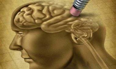 No más pérdida de memoria: los 5 hábitos que previenen el deterioro cognitivo, según neurólogos