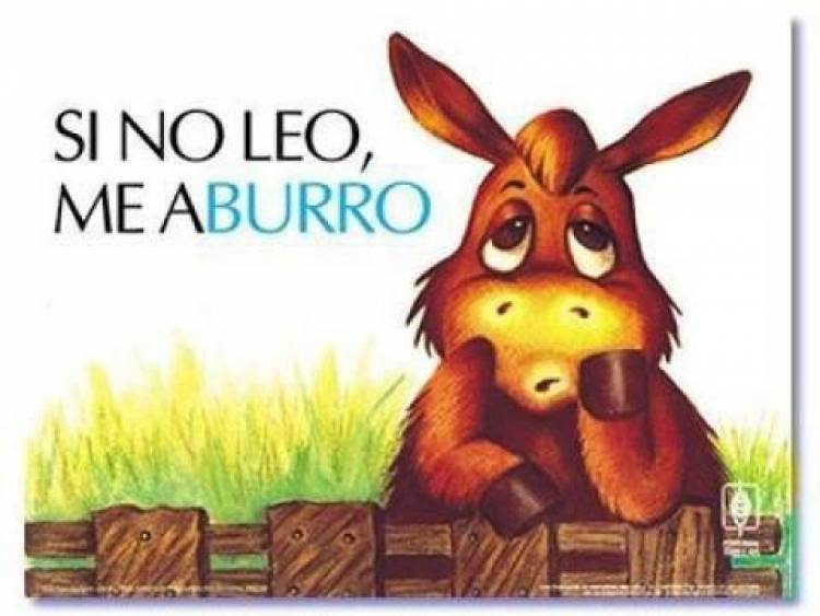 ANALFABETOS FUNCIONALES -I-