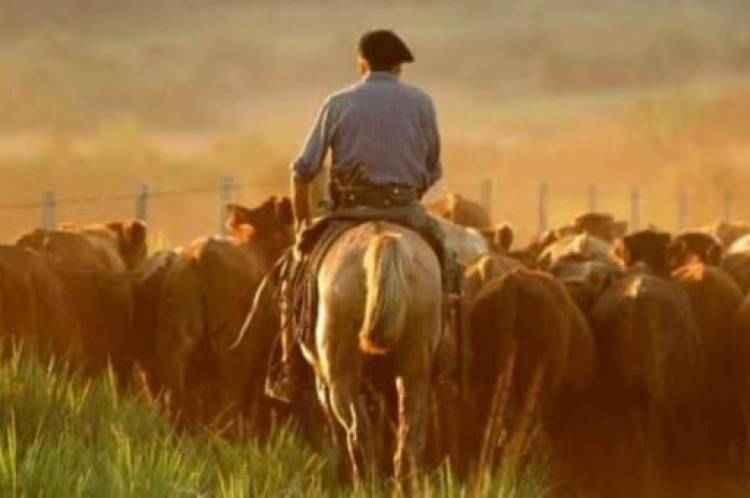 Hoy se celebra el Día del Trabajador Rural en todo el país.  