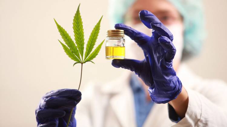 Argentina legaliza el autocultivo de cannabis medicinal