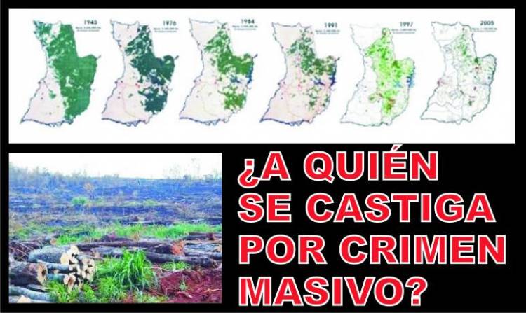 ASESINOS MASIVOS