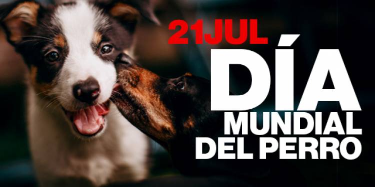 Día mundial del perro