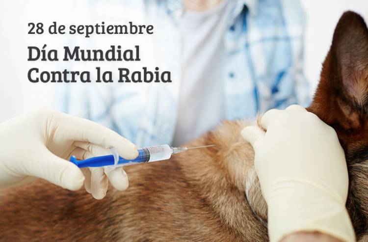 Día Mundial contra la Rabia