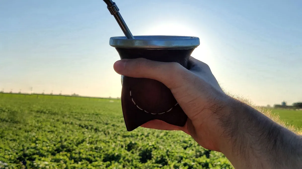 El Día Nacional del Mate