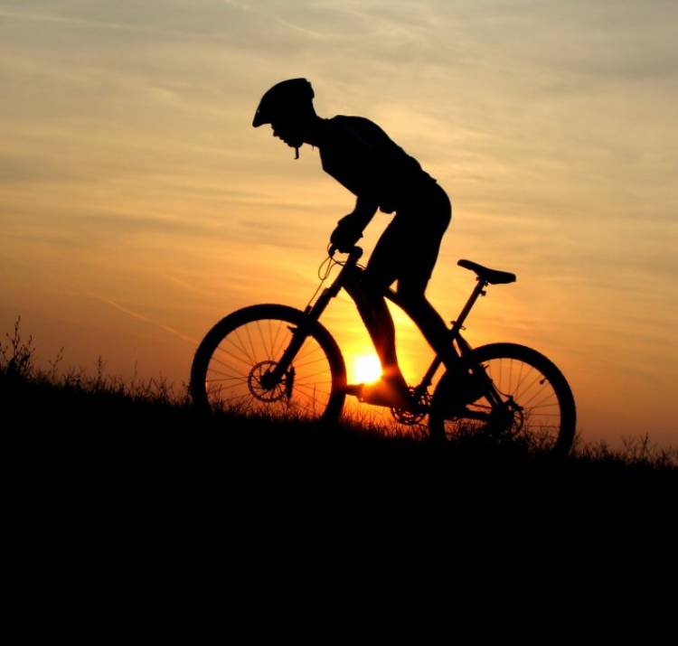 Día del Ciclista