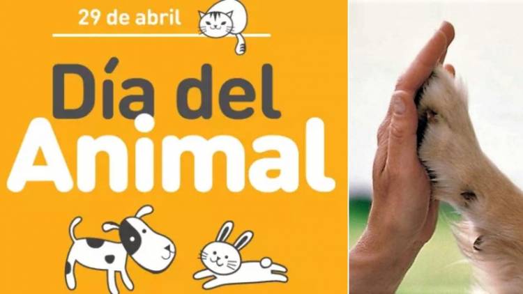 DÍA DEL ANIMAL. 