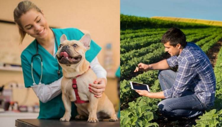Día del Ingeniero Agrónomo y del Médico Veterinario