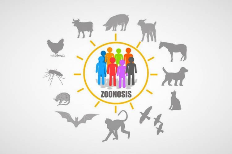 Día Mundial de la Zoonosis
